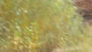 Моя красивая -   Автор музыка и и поёт Андрей Шпехт