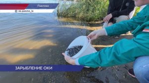 Более 25 тысяч мальков стерляди выпустили в Оку