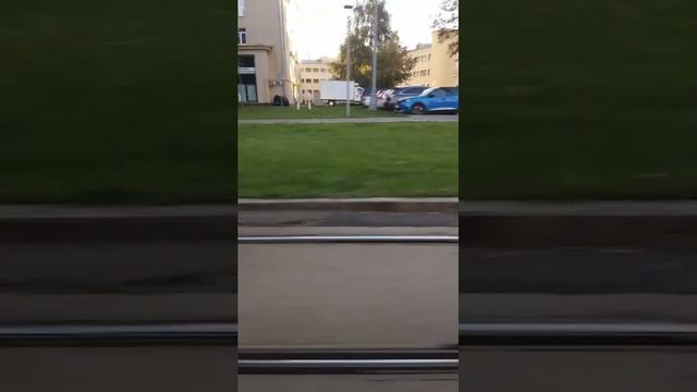 Поездки в общественном транспорте | 11-сен-2025, 2