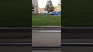 Поездки в общественном транспорте | 11-сен-2025, 2