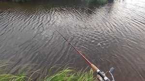 ОНА ДОИГРАЛАСЬ