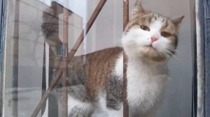 Воспоминания 2021г. Всех поздравляем с 8 марта с Международным женским днем.