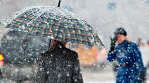 Сергей Воронин - Дождь в январе