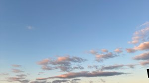 Anna Melitskova BRICS international school