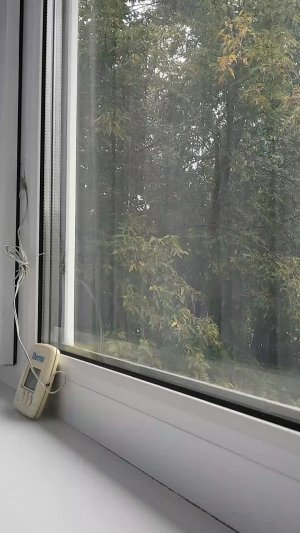 дожди