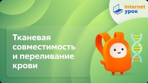 Тканевая совместимость и переливание крови. Видеоурок по биологии 8 класс