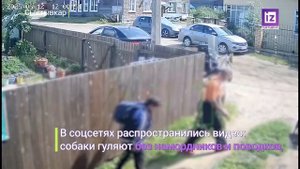 iZ ЧП – 10 СЕНТЯБРЯ 2025