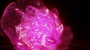 💡 ВСПЫШКИ РАЗУМА: Гениальные идеи, которые меняют всё!