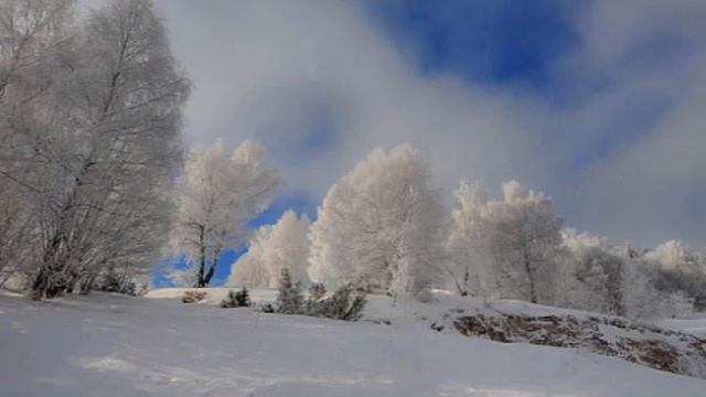 А мир наполнен тайной - автор Оксана Светлакова исполняет Светлана Полыгалова смотреть онлайн