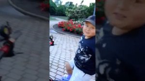 Обзор электросамоката куго м 4