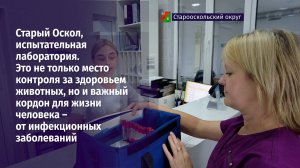 Испытательная лаборатория - место контроля за здоровьем животных и важный кордон для жизни человека