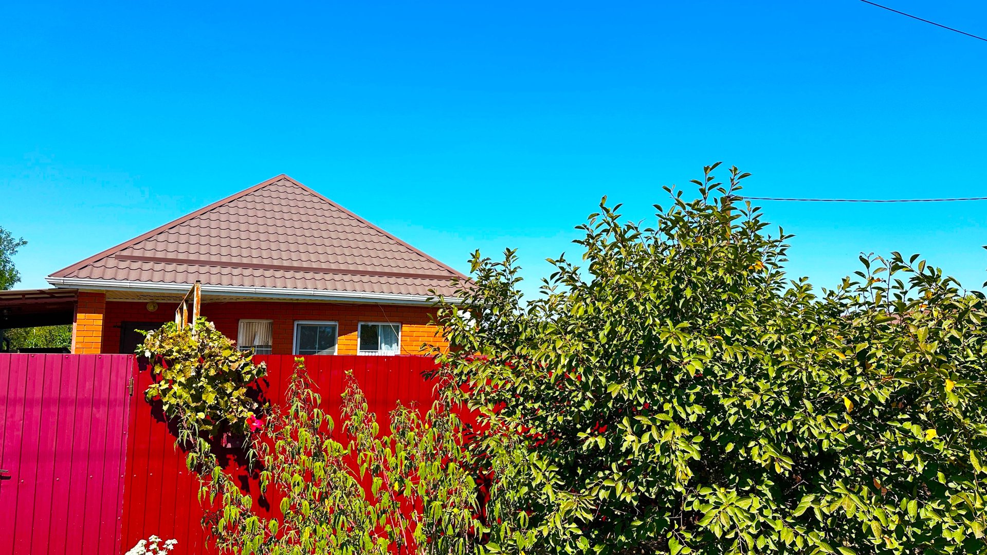 Добротный дом с фруктовыми деревьями на участке смотреть онлайн