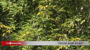 Бабье лето дважды заглянет в Иркутскую область