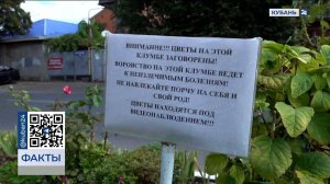 Суровое предупреждение заметили на клумбах на улице Фрунзе в Краснодаре