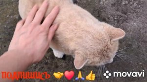 1000010908.mp4.  🖋️🚀ПРОСТО ЖИЗНЬ С УЛЫБКОЙ💃🔥 МОИ БУДНИ 🖋️🚀