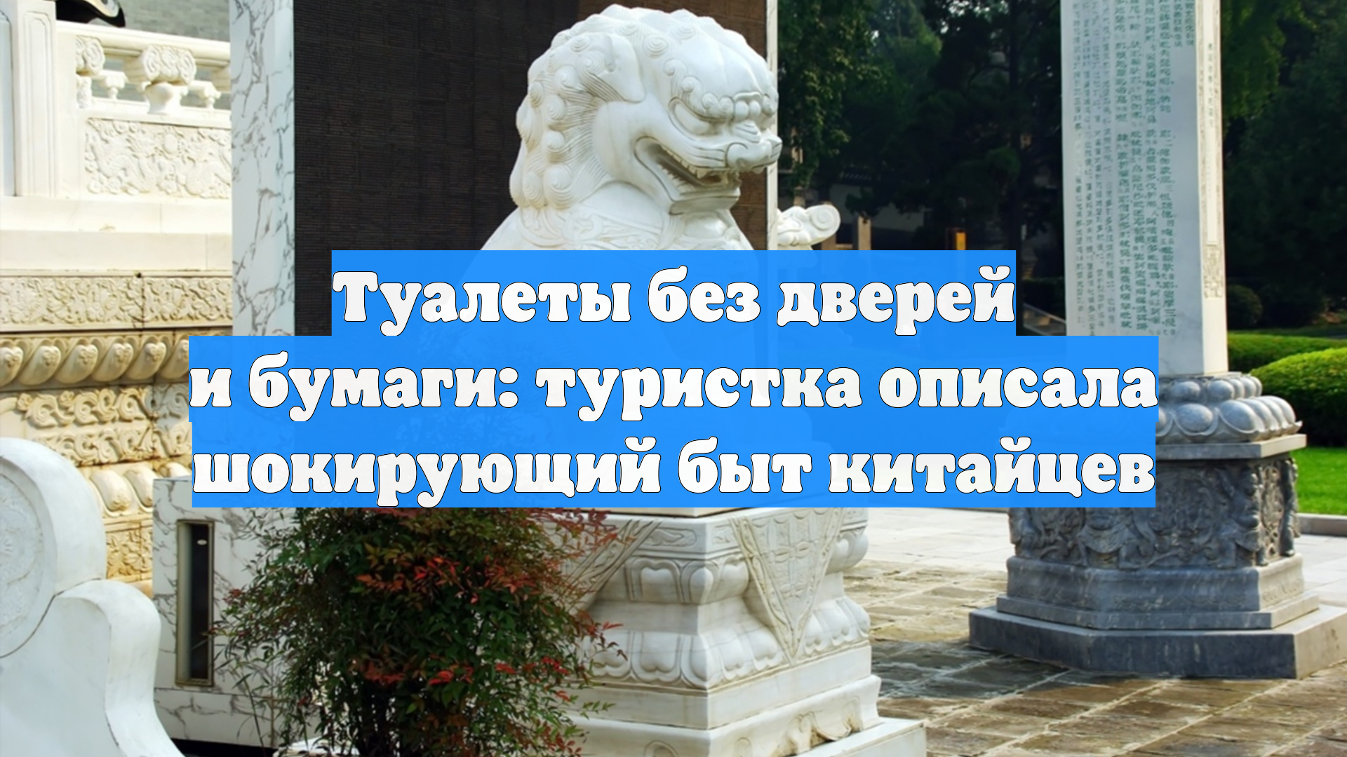 Туалеты без дверей и бумаги: туристка описала шокирующий быт китайцев