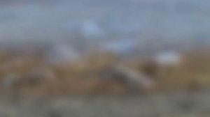 Мое слайд-шоу №8 Россия СевеР ЯМАЛ