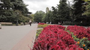 Приморскому бульвару в Севастополе исполнилось 140 лет