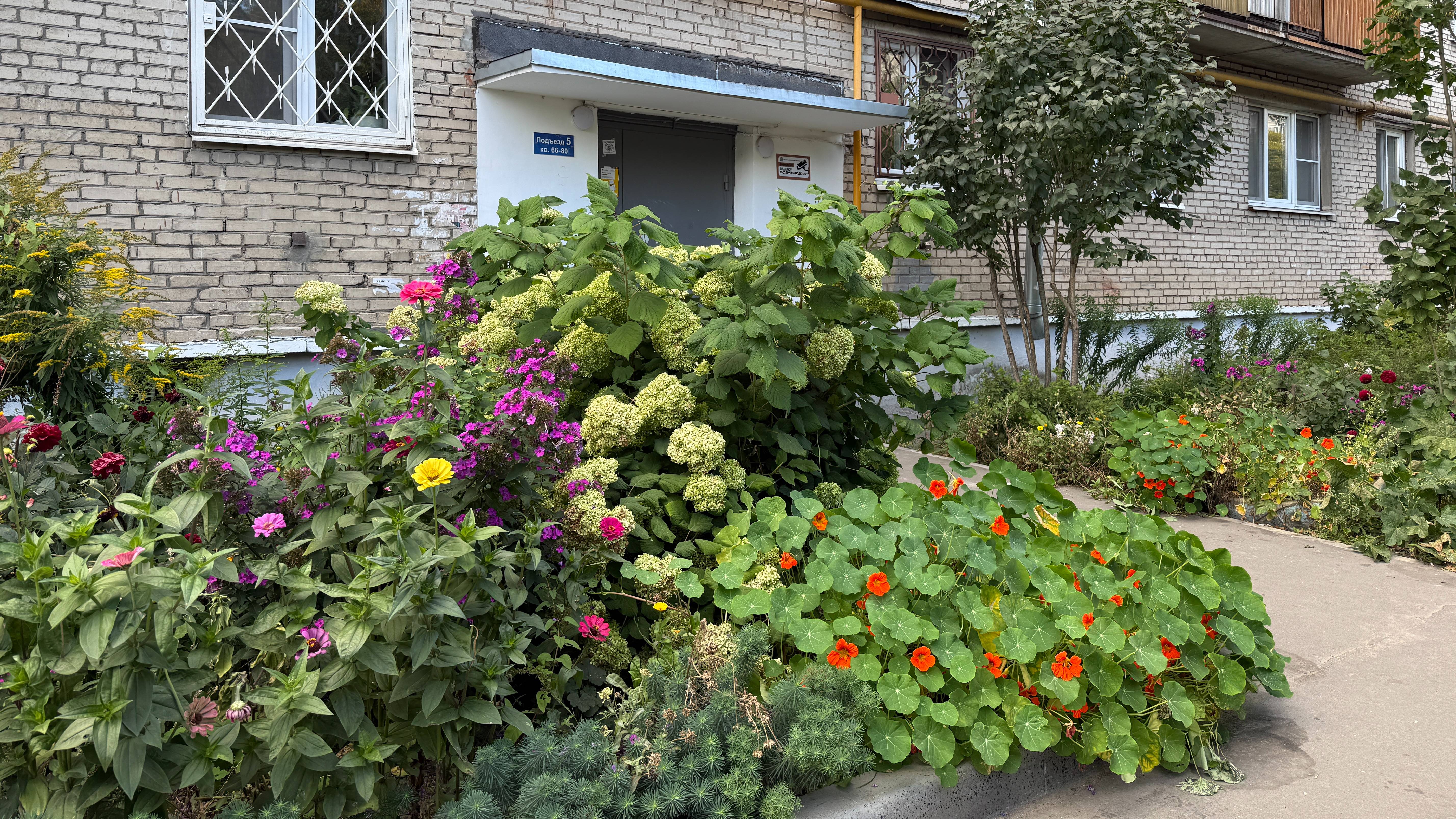 Продажа 2 к кв Победы Электросталь смотреть онлайн