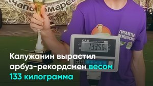 Калужанин вырастил арбуз-рекордсмен весом 133 килограмма