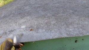 Слабые семьи идут в зиму по две с общей перегородкой. Сильные ещё не качал.