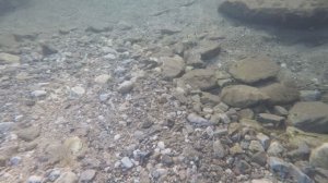 Камера в речке, белый шум для фона. Атмосфера спокойствия и гармонии.