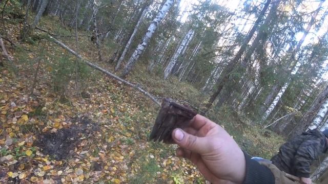 Ужд, траки, рельсы, в итоге застряли и шли пешком смотреть онлайн