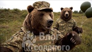 Медведи в армии 11 серия