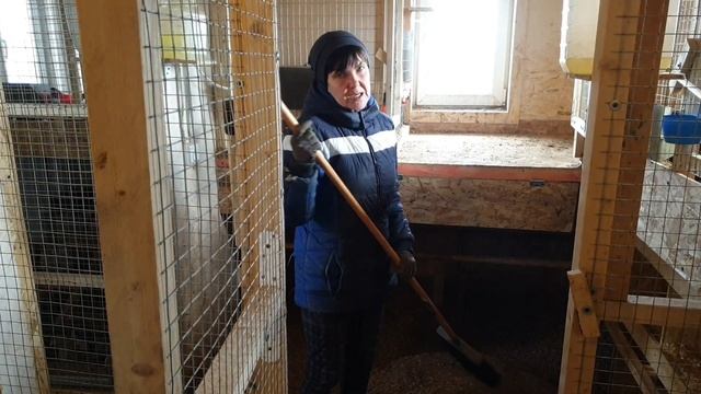 Запускаем бактерии Биолатик. В конце ролика покажем зимнюю подстилку с бактериями и без. Сравните! смотреть онлайн