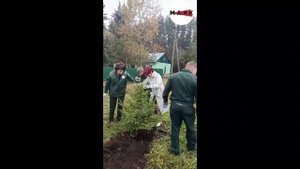Мәлбагыш урманчылыгы бинасы ачылды