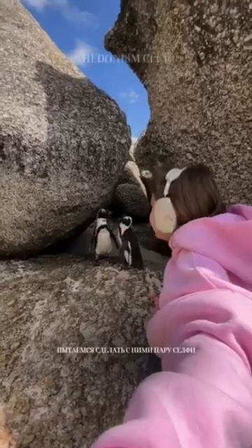 ВЫ ТОЧНО НЕ ЗНАЛИ ЭТОГО! Что ЮАР — главная гедонистическая столица мира