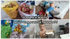 Переработка яблок🍏Б/У вещи• Покупки на 1.6 года🛍️Тяжёлое начало сентября🍁 #влог #уборка #обзоры