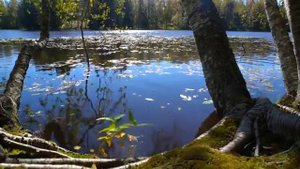 Красивая фортепианная музыка для сна, Для снятия стресса