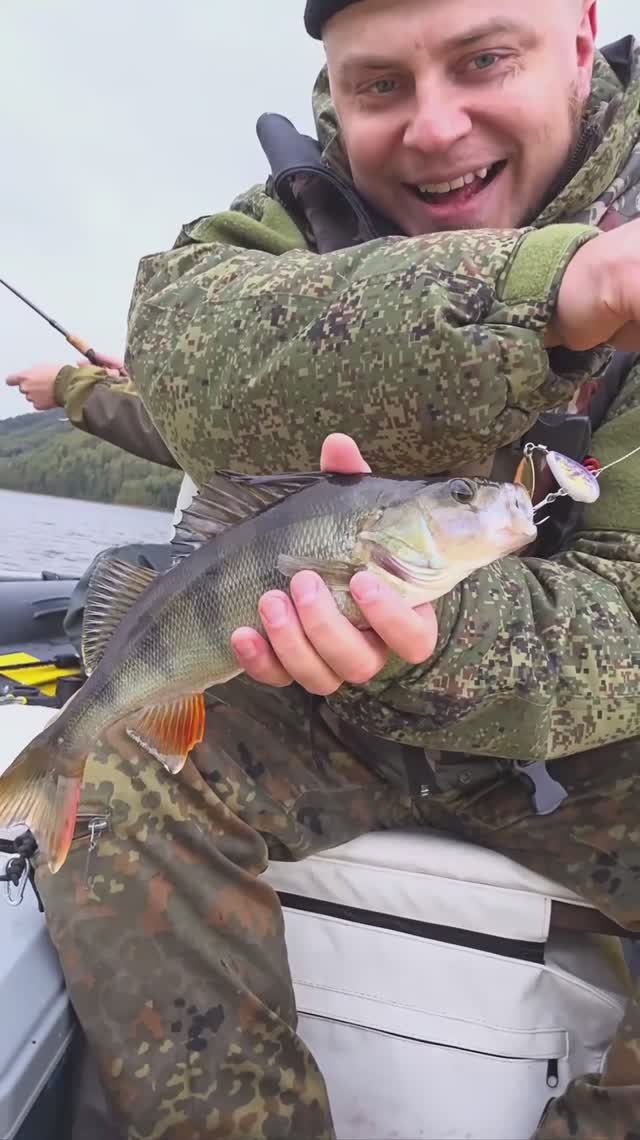 Клев окуня на Саяно-Шушенском водохранилище.