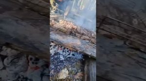 Грибной тур. Тевриз