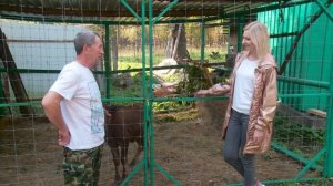 Календарь зубров - сентябрь