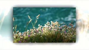 White Line - Genes Is