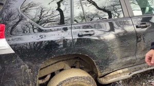 30 января 2025 г.