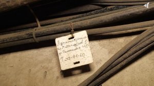 ОПЕРАЦИЯ ПО ЗАМЕНЕ АРТЕРИЙ, 11.09.2025