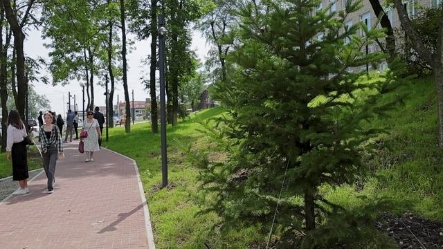 Уютное пространство для отдыха и прогулок появилось на улице Борисенко во Владивостоке.