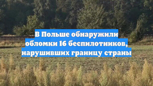 В Польше обнаружили обломки 16 беспилотников, нарушивших границу страны