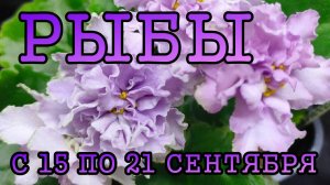 РЫБЫ таро прогноз на неделю с 15 по 21 СЕНТЯБРЯ 2025 года.