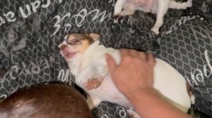 Доброго утречка и легкой субботы.