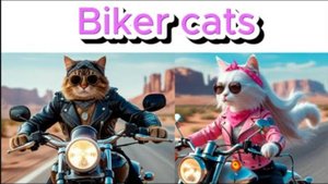 Biker cats