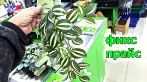Фикс прайс.Опять все самое интересное