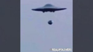 Они поняли, что челОВЕЧЕство не оправдали iQ полоУМные подВИДы подРАСы.