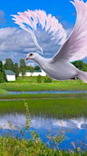 Русь ты моя, монтаж Гелены Легали