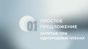 16 задание ЕГЭ. Запятые при однородных членах. Часть 1