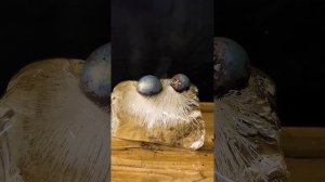 1000°C Glowing Metal Ball vs Eggs