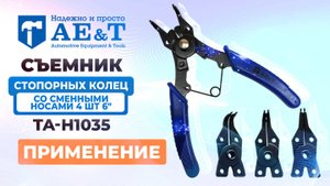 Съемник стопорных колец со сменными носами 4 шт 6" TA-H1035 AE&T